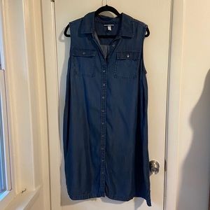 Liz Lange Maternity Dress